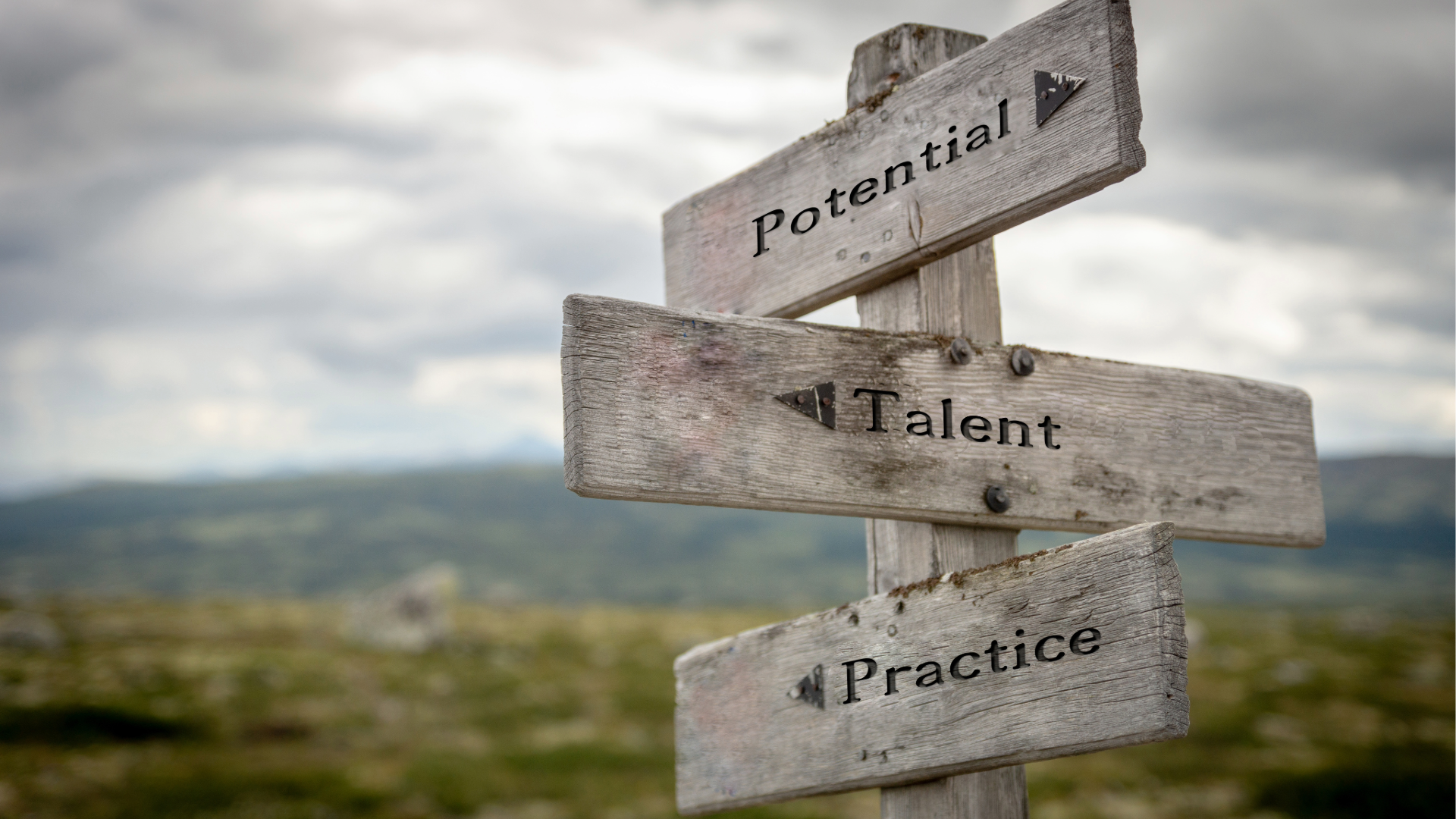 Weathered signpost with arrows reading 'Potential', 'Talent', and 'Practice' against a rural landscape.