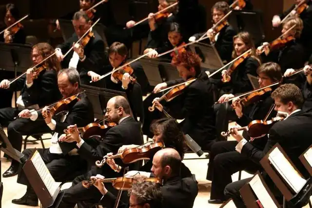 Orchestra string section playing together